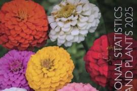 2025国际花卉统计年报：全球数据全景解析